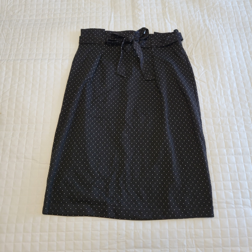 Max Studio Skirt